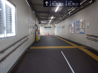 ���ꉷ��w�摜