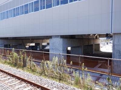 ���ꉷ��w�摜