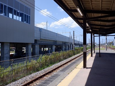 ���ꉷ��w�摜