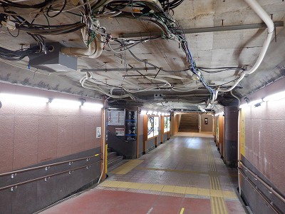 ���ꉷ��w�摜