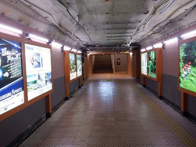 ���ꉷ��w�摜