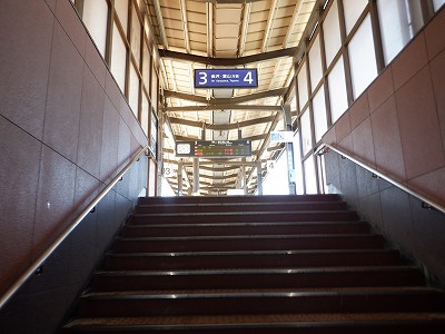 ���ꉷ��w�摜