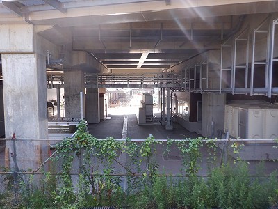 ���ꉷ��w�摜