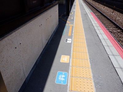 ���ꉷ��w�摜