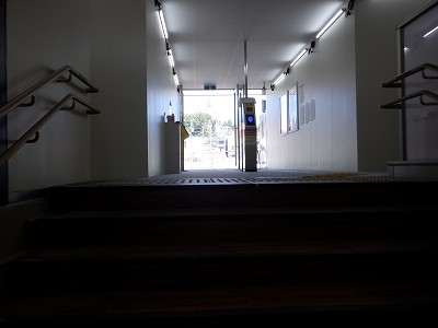 ���ꉷ��w�摜