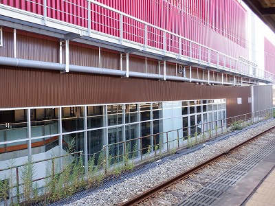 ���ꉷ��w�摜