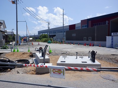 ���ꉷ��w�摜