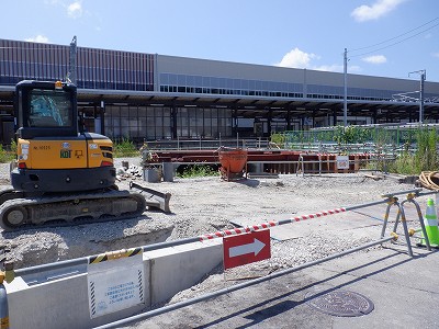 ���ꉷ��w�摜