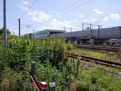 ���ꉷ��w�摜