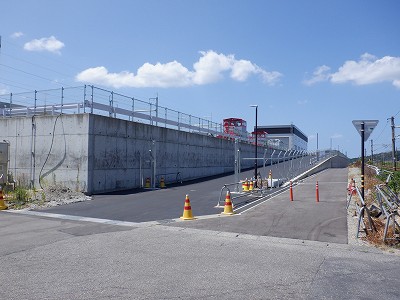 ���ꉷ��w�摜