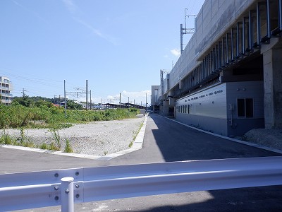 ���ꉷ��w�摜