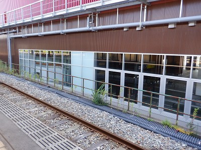 ���ꉷ��w�摜