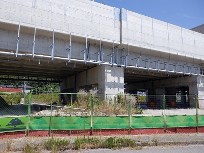 ���ꉷ��w�摜