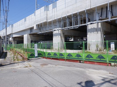 ���ꉷ��w�摜