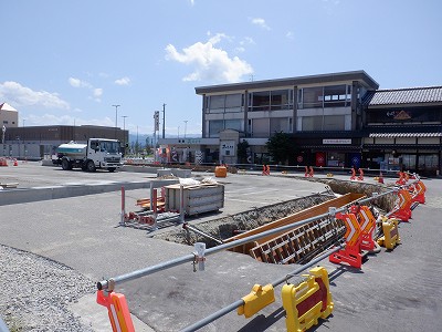 ���ꉷ��w�摜