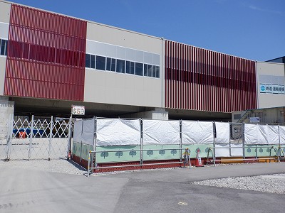 ���ꉷ��w�摜