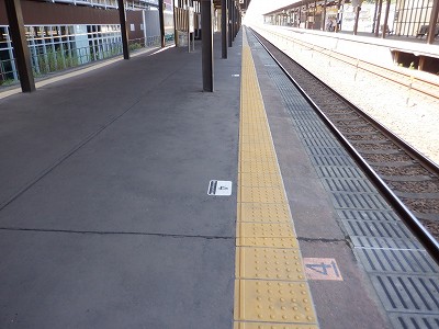 ���ꉷ��w�摜