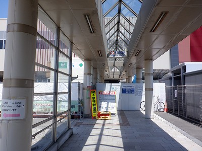 ���ꉷ��w�摜