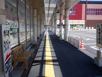 ���ꉷ��w�摜