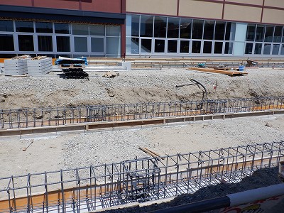 ���ꉷ��w�摜