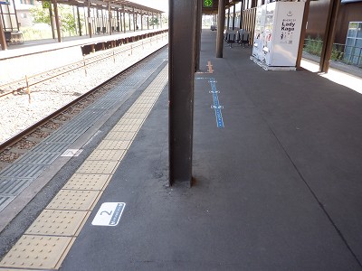 ���ꉷ��w�摜