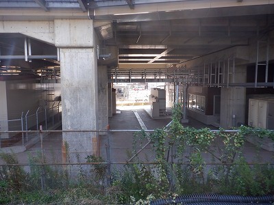 ���ꉷ��w�摜