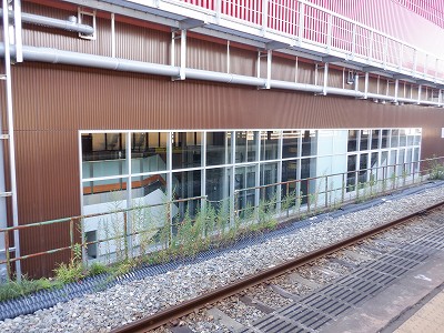 ���ꉷ��w�摜