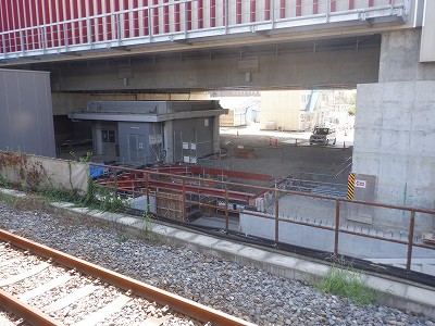 ���ꉷ��w�摜