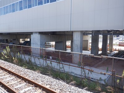 ���ꉷ��w�摜