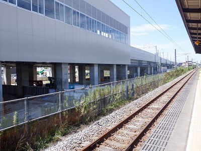 ���ꉷ��w�摜