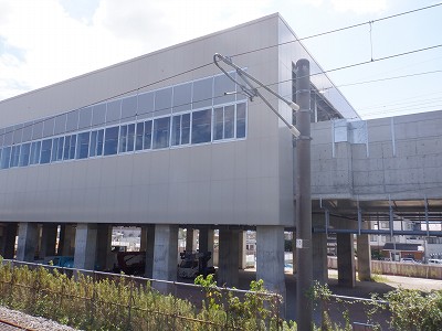 ���ꉷ��w�摜