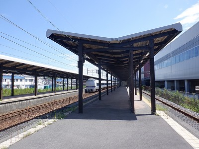 ���ꉷ��w�摜