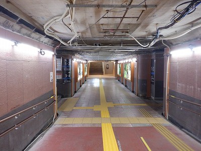 ���ꉷ��w�摜