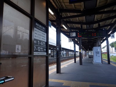 ���ꉷ��w�摜