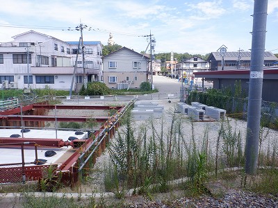 ���ꉷ��w�摜