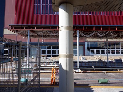 ���ꉷ��w�摜