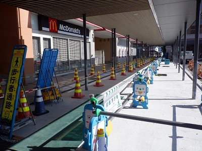 ���ꉷ��w�摜