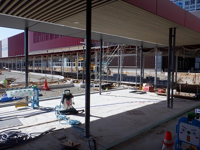 ���ꉷ��w�摜