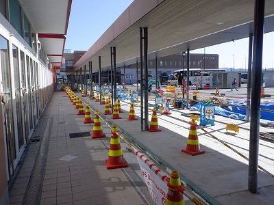 ���ꉷ��w�摜