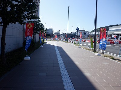 ���ꉷ��w�摜