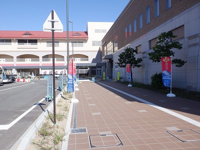 ���ꉷ��w�摜