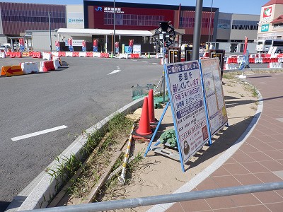 ���ꉷ��w�摜