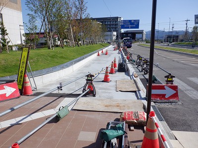 ���ꉷ��w�摜