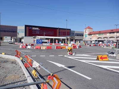 ���ꉷ��w�摜