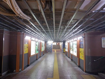 ���ꉷ��w�摜