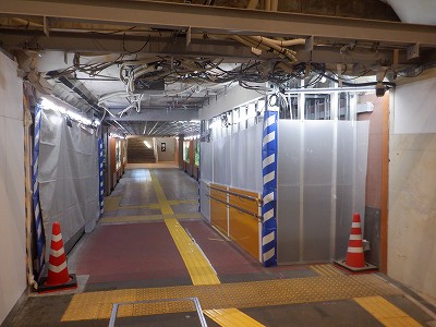 ���ꉷ��w�摜