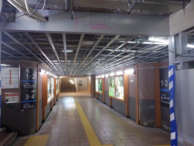 ���ꉷ��w�摜