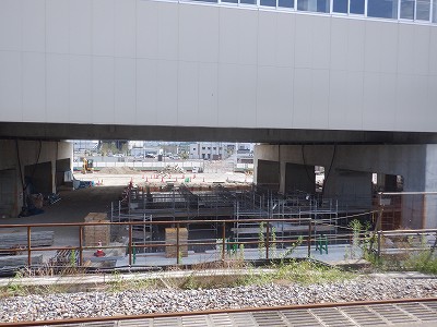 ���ꉷ��w�摜