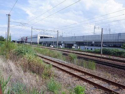 ���ꉷ��w�摜