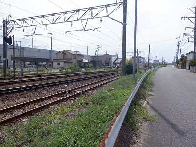 ���ꉷ��w�摜